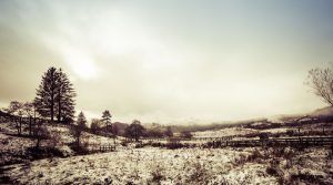 Snow covered landscape of the west highlands of scotland, showing a valley and sparse trees