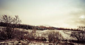 Snow covered landscape of the west highlands of scotland, showing a hill in the background and twiggy trees/shrubs in the foreground